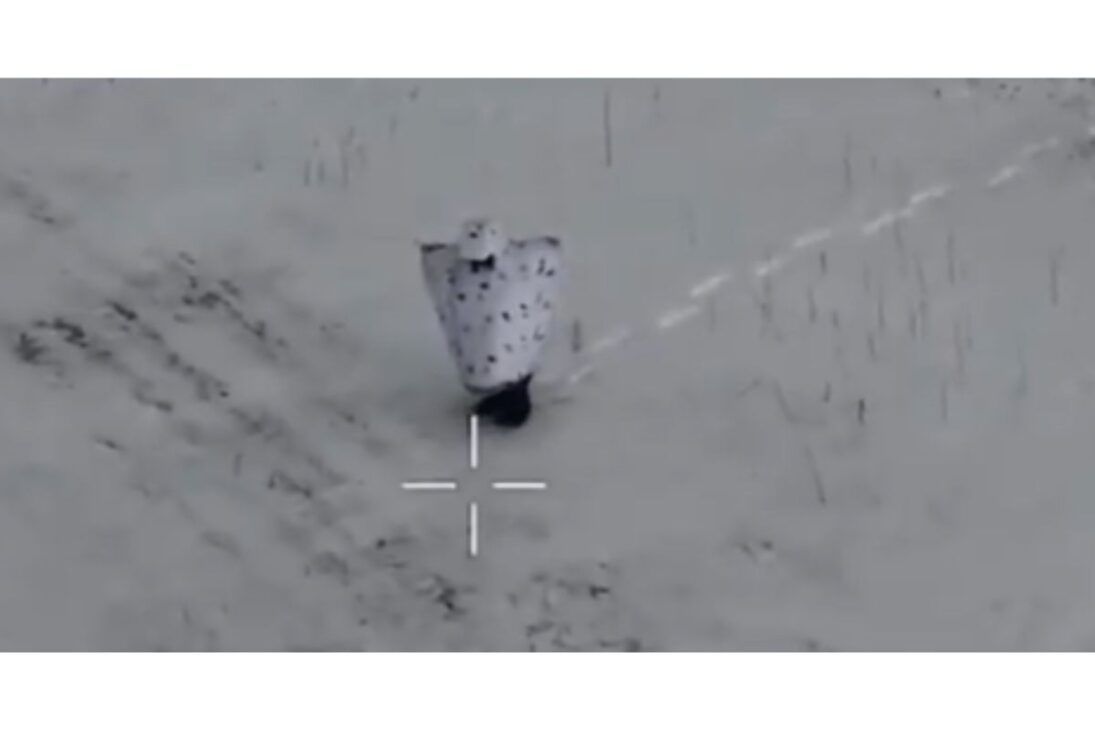 Camuflaje de Rusia falla en Ucrania; camuflaje de invierno se convierte en un blanco fácil para drones FPV y cámaras térmicas en el campo de batalla.