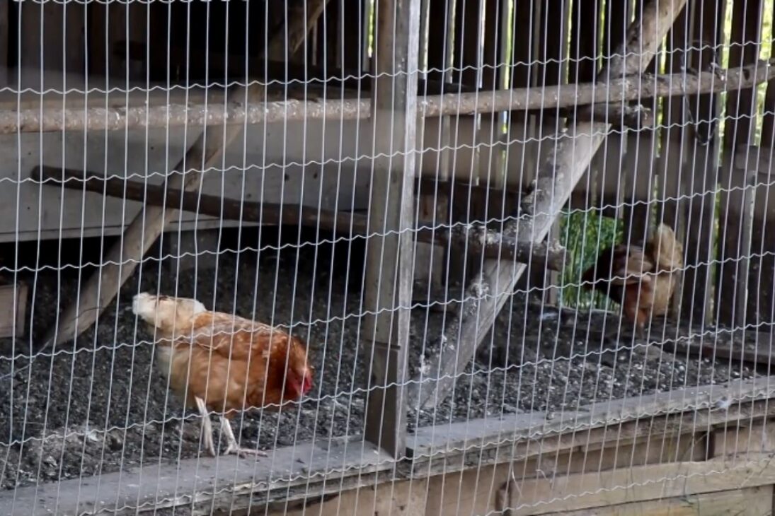 Historia de padre y padre que levantaron castillo de piedra en Santa Catarina; hoy el castillo en Treze de Maio es castillo turístico y castillo abierto al público.
