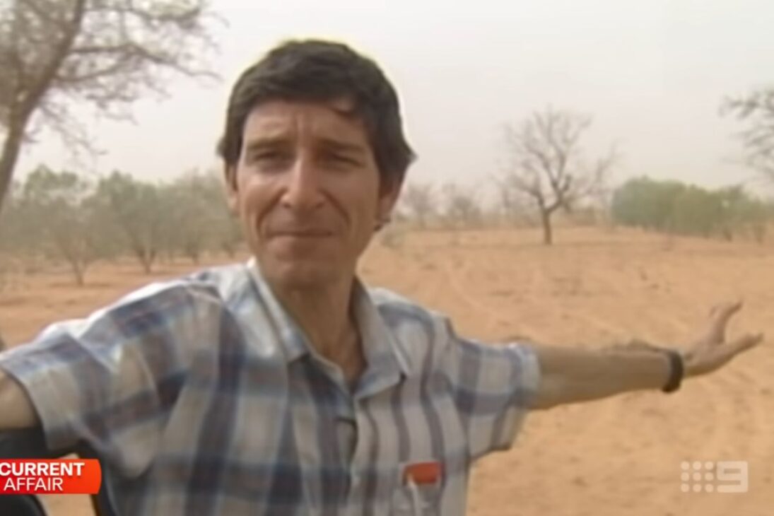 Agricultores de Nigeria muestran cómo la regeneración con árboles crea oro verde, protege cosechas del Sahara y sostiene la recolección en clima duro con técnica simple y replicable.