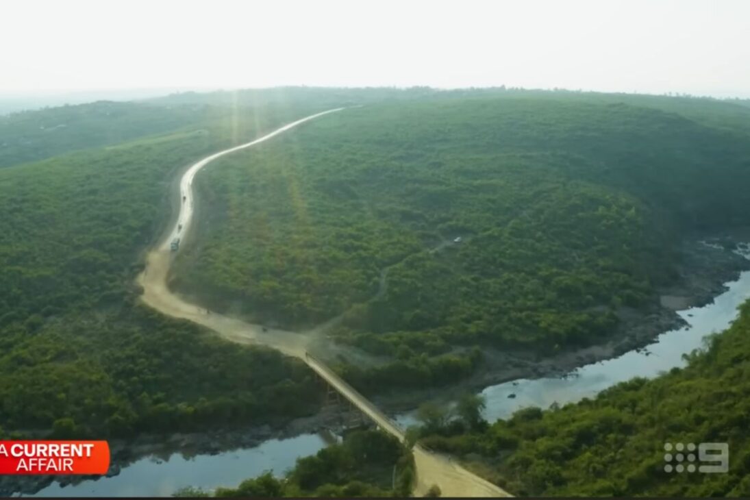 Agricultores de Nigeria muestran cómo la regeneración con árboles crea oro verde, protege cosechas del Sahara y sostiene la recolección en clima duro con técnica simple y replicable.