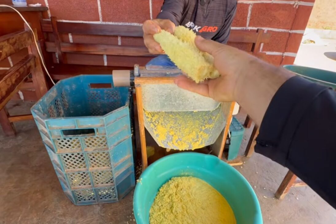 máquina caseira no sítio acelera pamonha com milho na roça, corta esforço manual e muda a lida em poucos minutos.