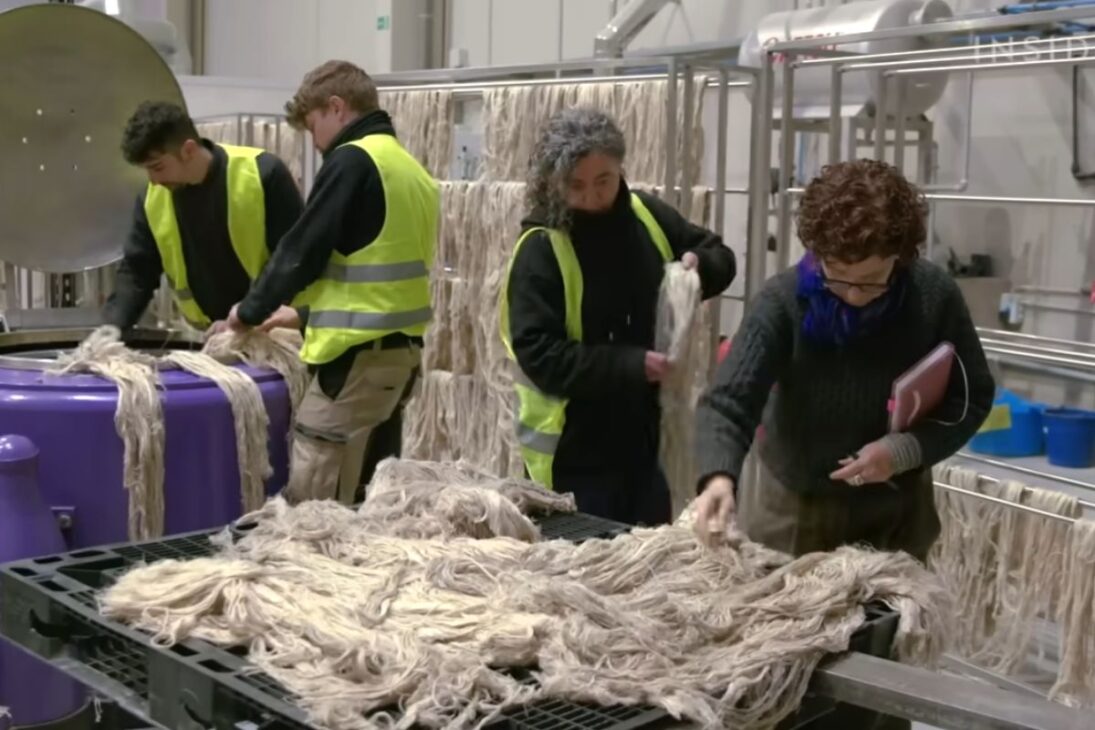 Restos de piña se convierten en fibras, Pinatex, platos y detergentes en cadenas que conectan campo e industria, con enfoque en logística, precio, escala e impacto ambiental.