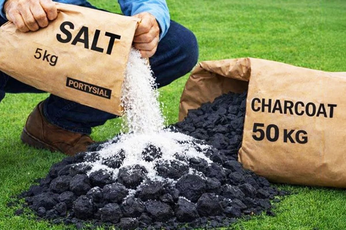 Experimento mostra como a mistura de carvão e sal, feita com carvão vegetal, pode reacender o debate sobre reaproveitar resíduos, riscos de experimentos inflamáveis e uso seguro de uma fonte de fogo confiável em situações controladas.