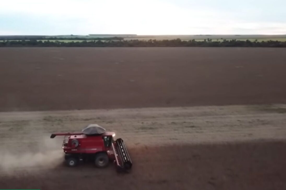 En Balsas Maranhão, la Guis Construyó una Flota de Camiones y Se Convirtió en Potencia del Agronegocio, Referente del Agronegocio en Maranhão.