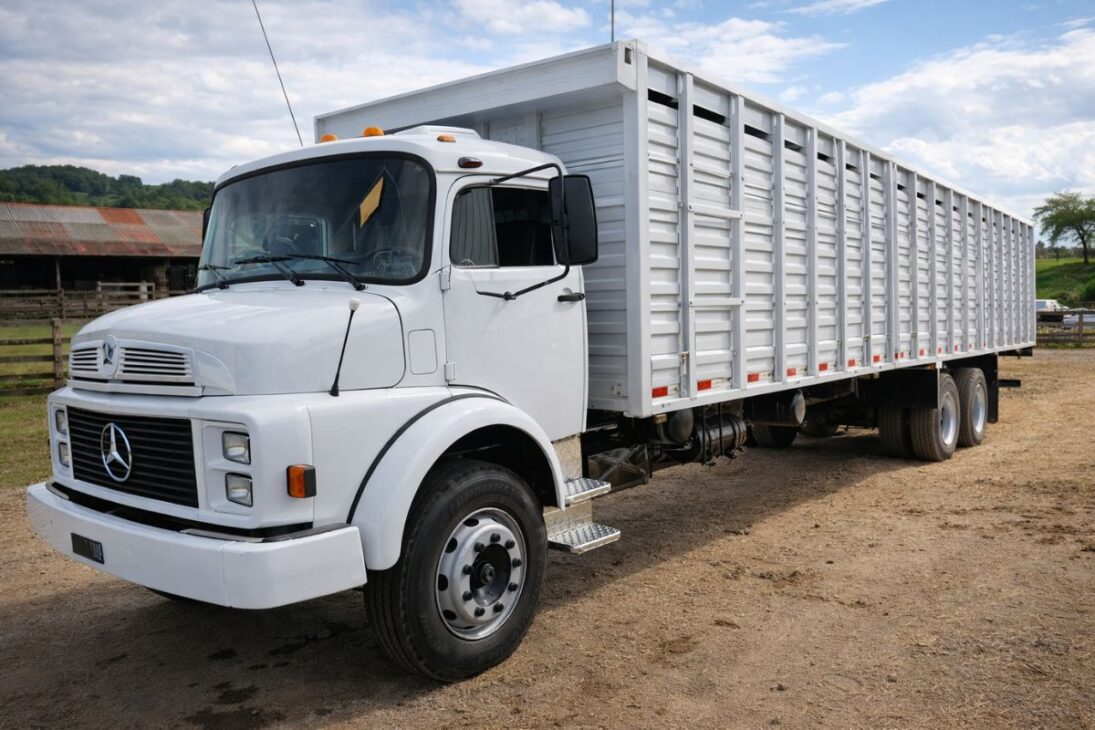 Camiones brasileños con cara chata, Bob Esponja, carreta Vanderleia y Fenemê cabeza de bagre muestran cómo apodos se convierten en leyendas de las carreteras.