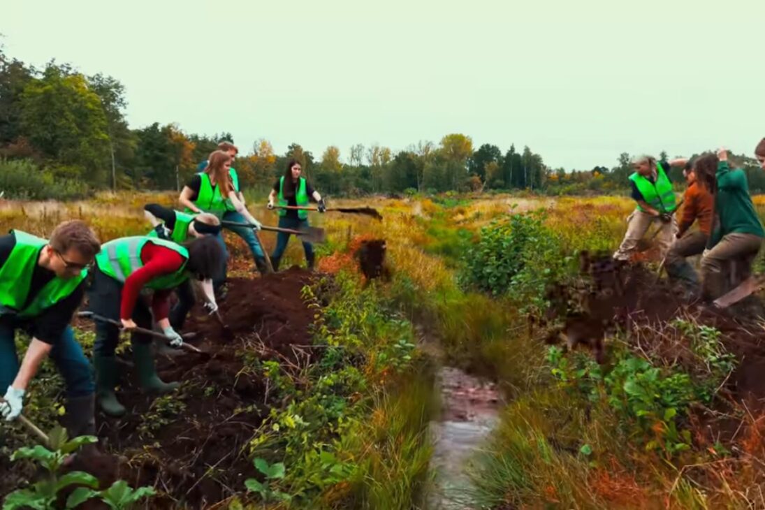 Europa Acelera la Restauración de Turberas al Recuperar Zonas Húmedas, Bloquear Valas de Drenaje y Mantener la Turba Saturada, en una Disputa Entre Agricultura, Carbono y Adaptación Climática.