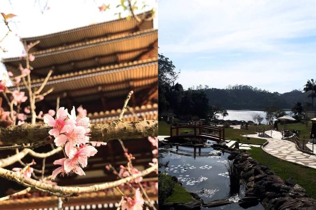 Torre japonesa, Torre, Torre de Miroku