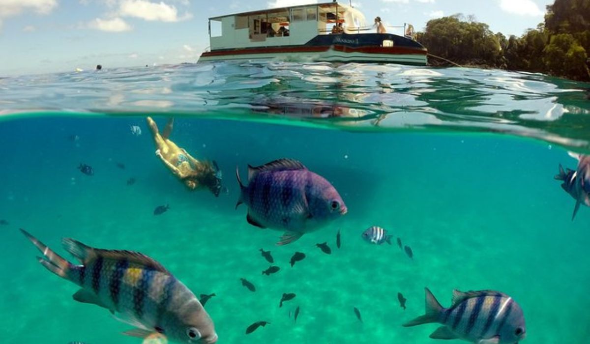 (Imagen: Reproducción)