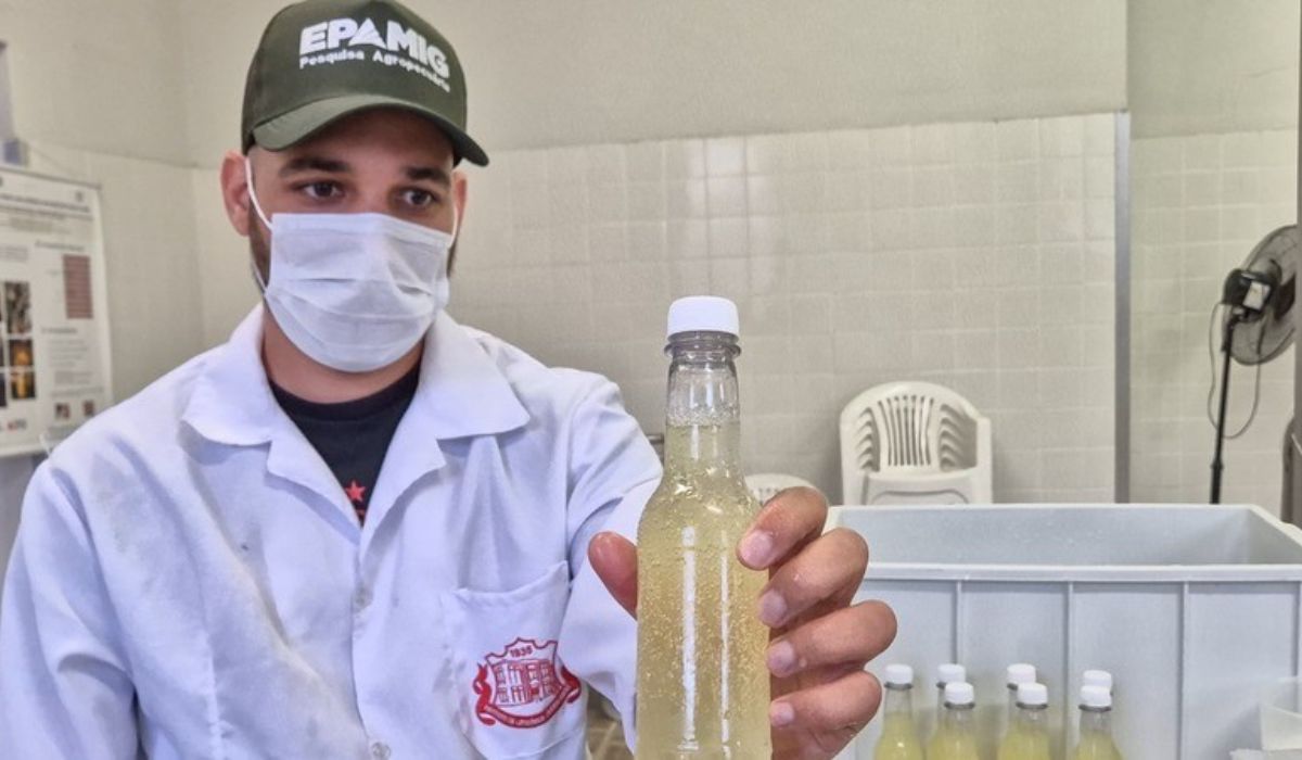 (Imagen: Marcelo Ribeiro/Epamig)