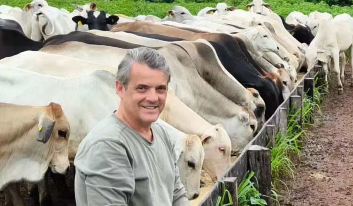Veterinário deixa a USP e testa pecuária regenerativa para recuperar pastos, reduzir metano e conter o desmatamento amazônico. (Imagem: Reprodução/BBC)