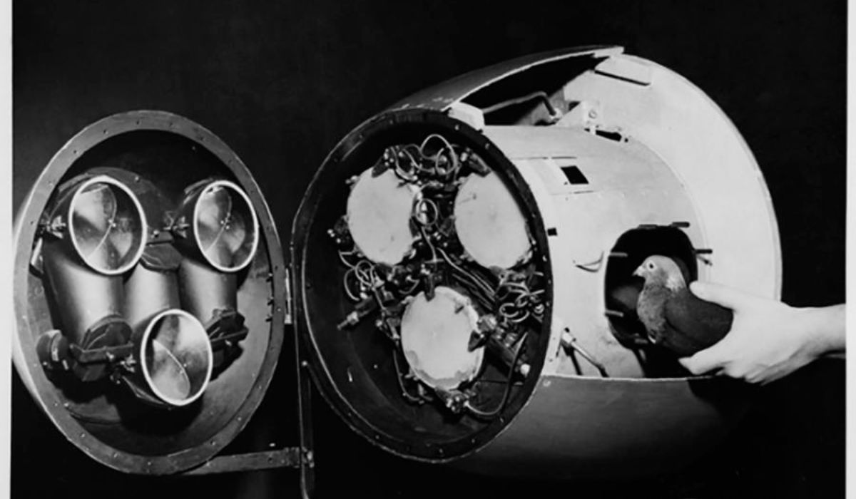 (Imagen: American Psychological Association)