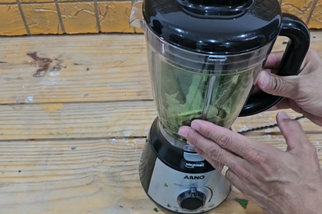 Hojas de papaya con detergente: mezcla con licuadora y colador, usando bicarbonato de sodio y sal para espesar y rendir más, con límites de uso y cuidados de almacenamiento.