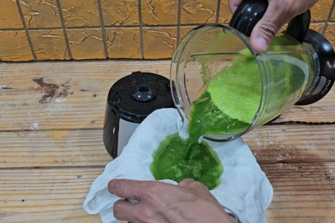 Hojas de papaya con detergente: mezcla con licuadora y colador, usando bicarbonato de sodio y sal para espesar y rendir más, con límites de uso y cuidados de almacenamiento.