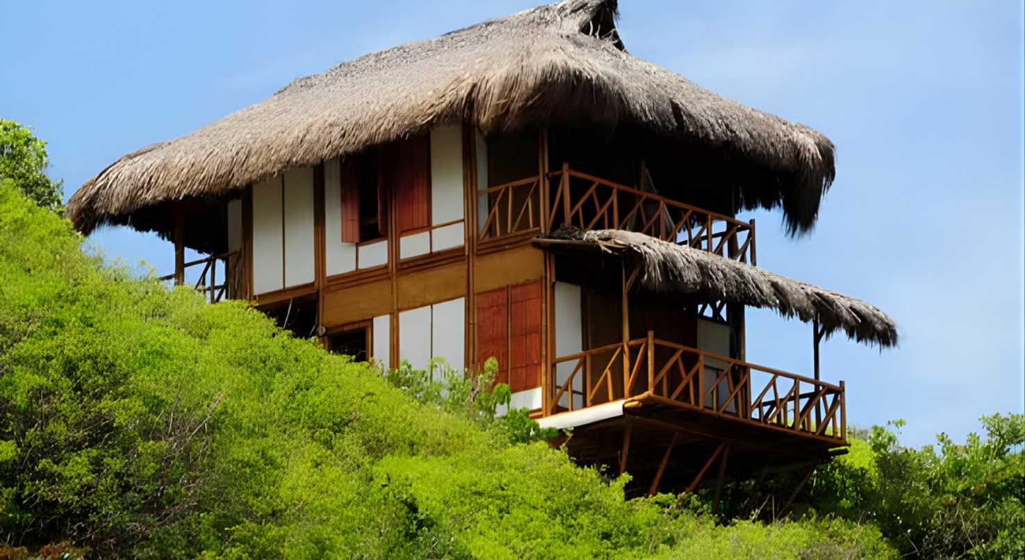 Empresa brasileira constrói casa 255 metros quadrados com varas bambu que crescem 20 metros em 3 anos custando 50% menos que cimento, tijolos e monta estrutura completa em 90 dias: técnica milenar japonesa adaptada usa bambu Guadua amarrado com corda dispensa pregos e parafusos