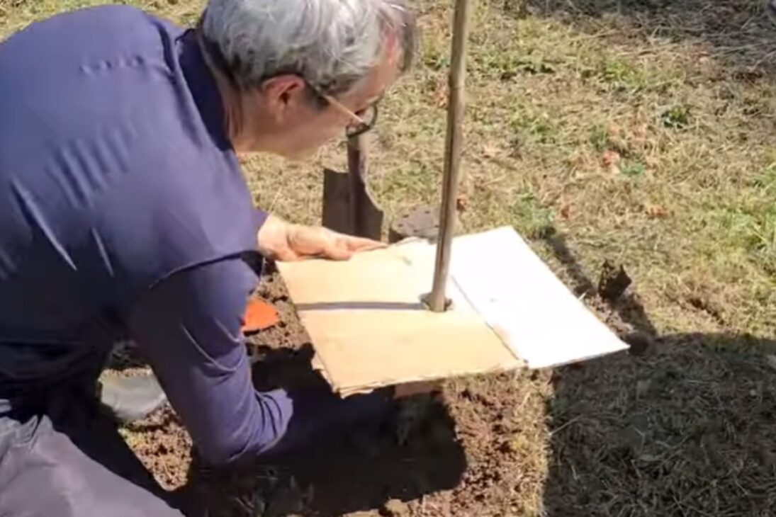 Descubre Cómo Usar Cartón En La Huerta Y En El Patio Para Potenciar El Lombricario, Atraer Lombrices Y Proteger El Suelo De Forma Simple.