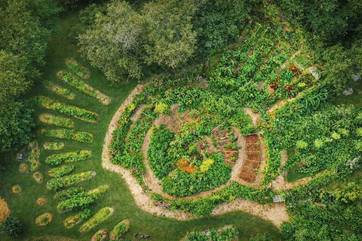 família aplica permacultura na propriedade, fortalece o jardim e amplia alimentos com colheita contínua e menos idas ao mercado.