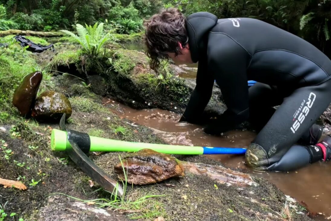 En El Río De Tasmania, El Oro Se Concentrra En Fisuras Y Aparece Con Arenas Negras Como Señal, Mientras Las Pepitas Surgen En Tramos Específicos Del Lecho; Ve Cómo El Ambiente Explica Los Patrones, Los Números En Gramos Y Los Límites De Seguridad.