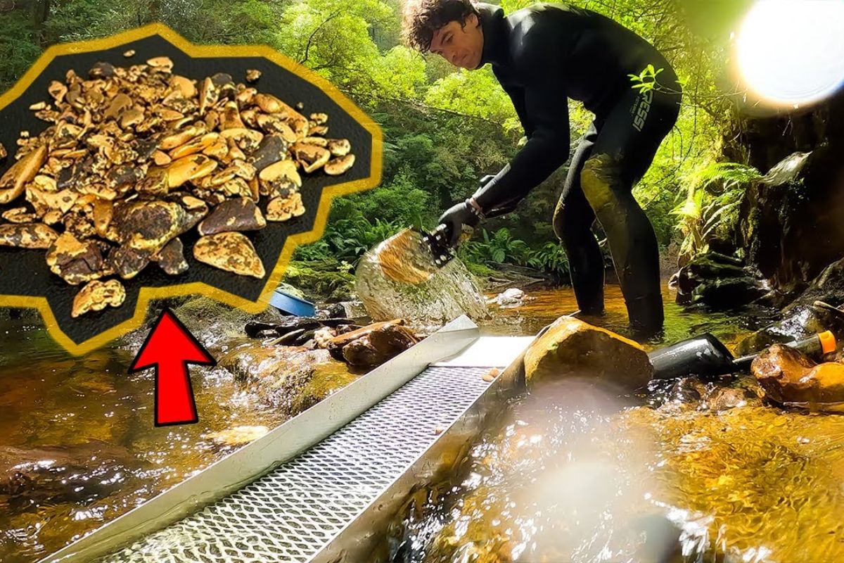No rio da Tasmânia, ouro se concentra em fendas e aparece com areias negras como sinal, enquanto pepitas surgem em trechos específicos do leito; veja como o ambiente explica os padrões, os números em gramas e os limites de segurança.
