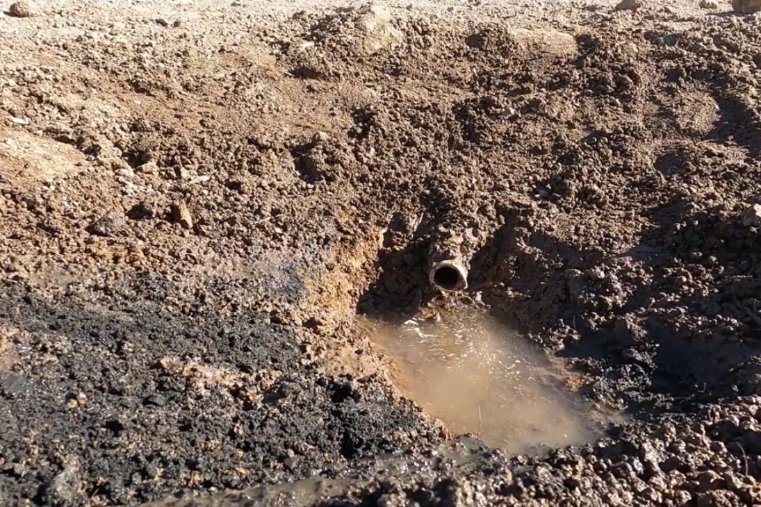 Una fuente abandonada en el desierto vuelve a brotar agua y asegura la supervivencia de caballos salvajes, burros y pájaros en pleno desierto, exponiendo la fragilidad extrema de la fauna cuando el acceso al agua casi desaparece.