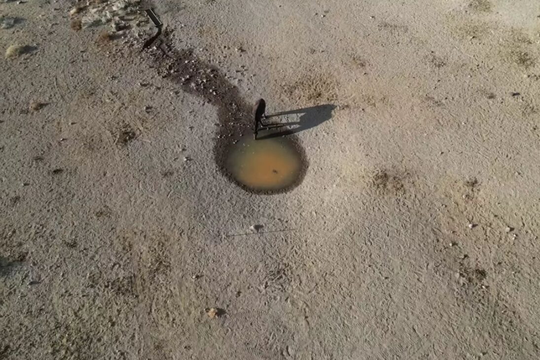 Una fuente abandonada en el desierto vuelve a brotar agua y asegura la supervivencia de caballos salvajes, burros y pájaros en pleno desierto, exponiendo la fragilidad extrema de la fauna cuando el acceso al agua casi desaparece.