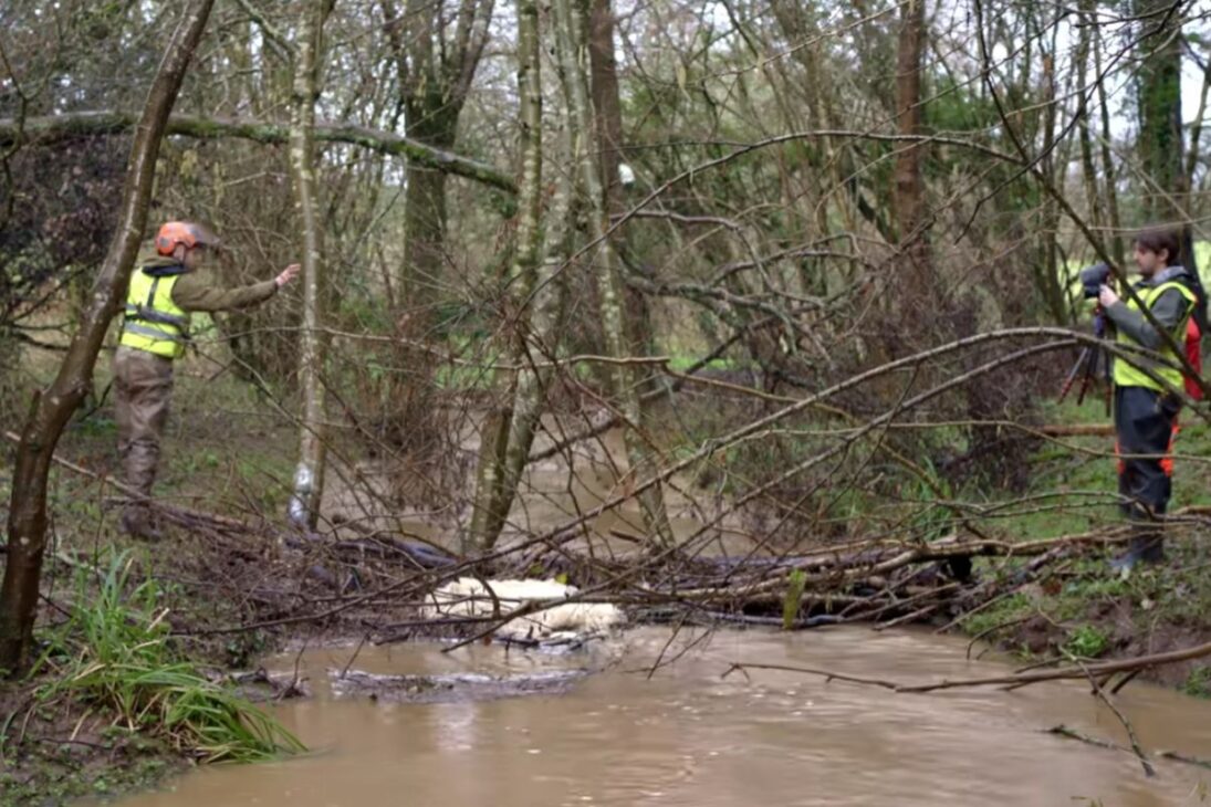 río británico en El Río Chew pasa por intervención con motosierras para insertar madera y fijar estacas, buscando reorganizar flujo y sedimentos, estabilizar márgenes y probar soluciones de bajo impacto sin grandes obras permanentes.