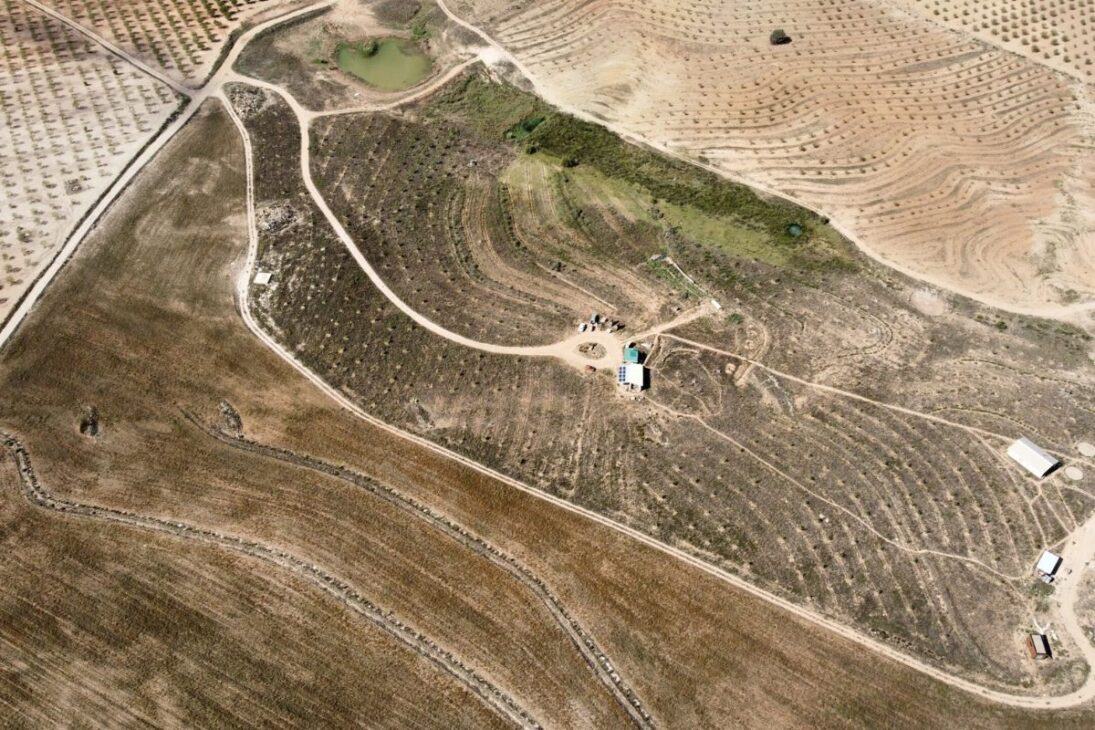 La Junquera transformó suelo degradado en paisaje productivo al reorganizar agua, restaurar ecosistemas y recuperar una región abandonada del sur de España a través de ciencia aplicada, restauración continua y presencia humana permanente.