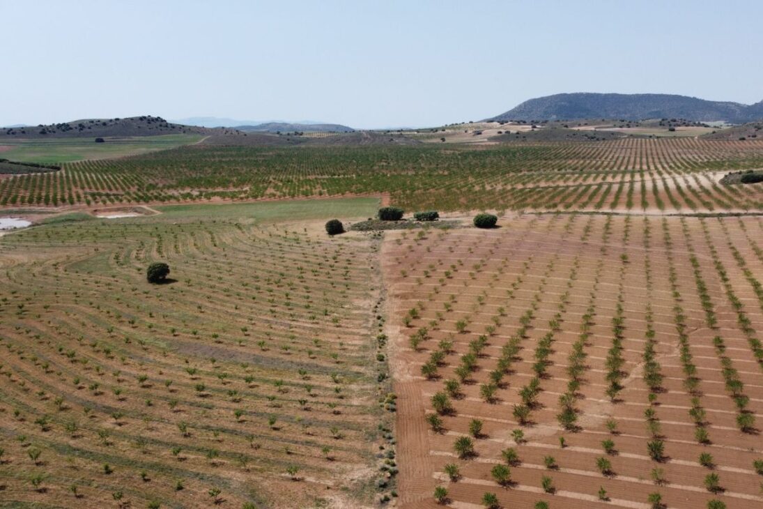 La Junquera transformó suelo degradado en paisaje productivo al reorganizar agua, restaurar ecosistemas y recuperar una región abandonada del sur de España a través de ciencia aplicada, restauración continua y presencia humana permanente.