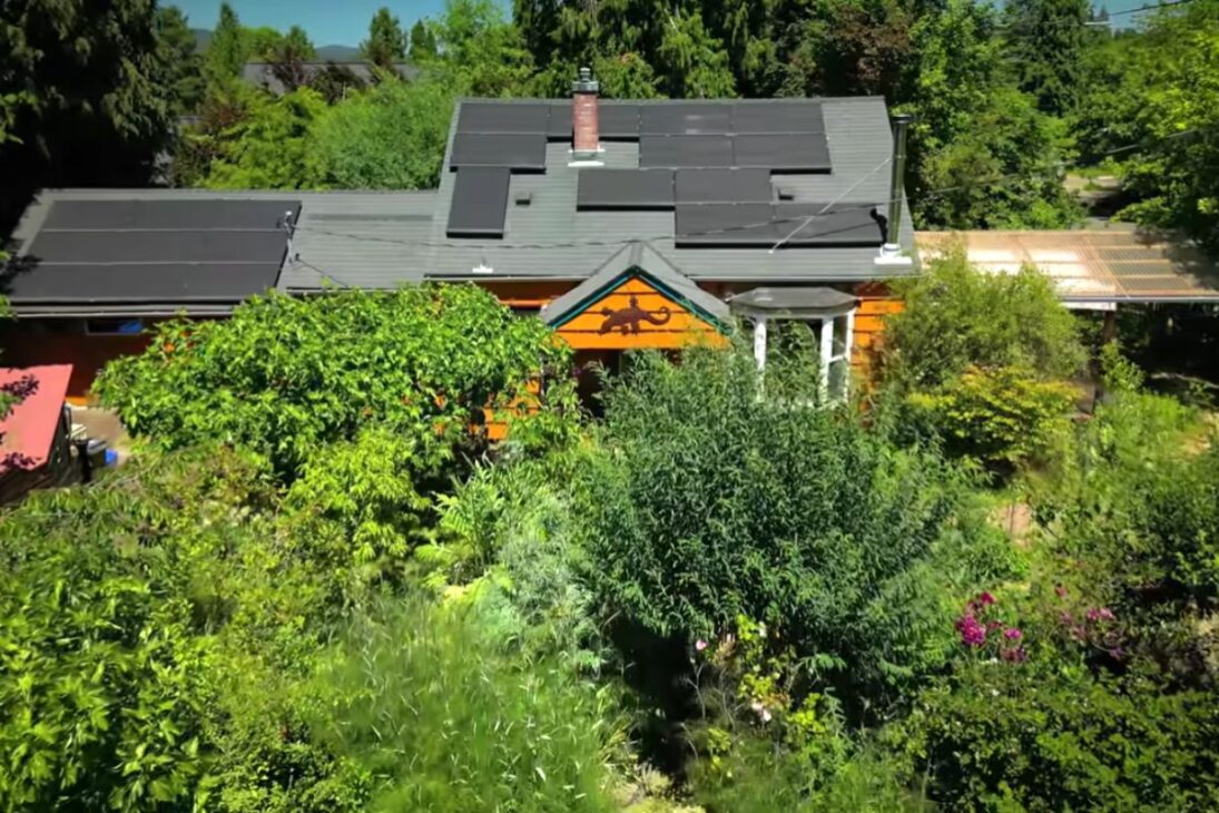 Mini-finca en el patio basada en permacultura combina huevos y miel con frutas y microclimas, detalla rotación de gallinas y invernadero reciclado, y muestra cómo un lote de 0,6 hectáreas puede reducir la cuenta del supermercado sin depender de un único producto.