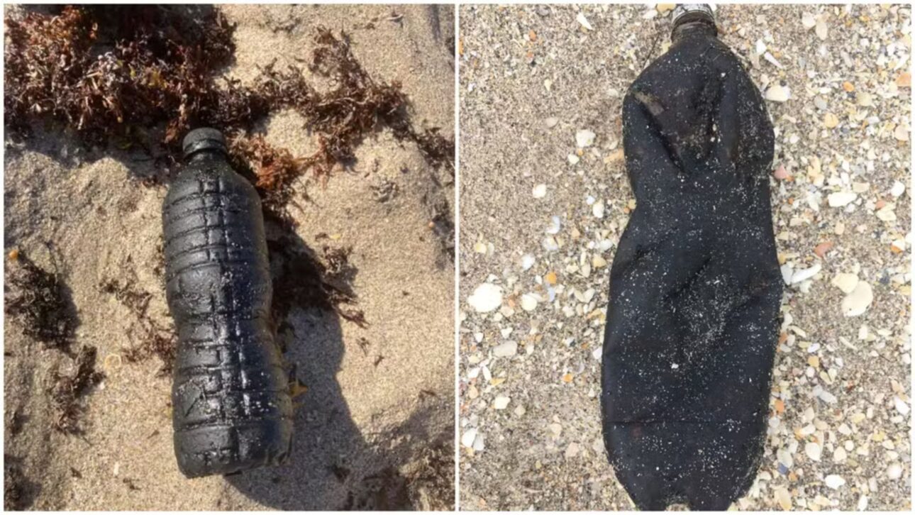 Investigación Revela Que Petróleo Derramado En Brasil En 2019 Recorrió 8,5 Mil Km Por El Océano Y Fue Encontrado En La Costa De Florida, En EE.UU.