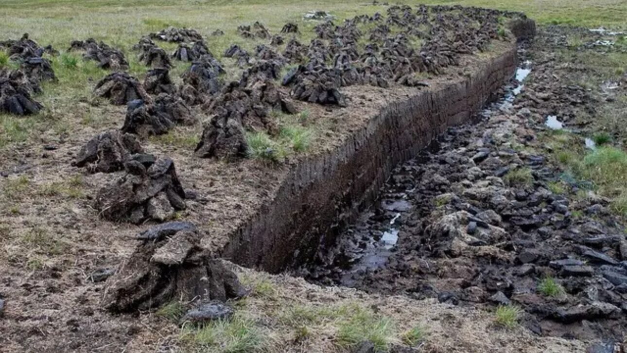 Drenaje de turberas en Indonesia transformó el suelo en combustible, intensificó incendios, dispersó humo regional y amplió emisiones de carbono.