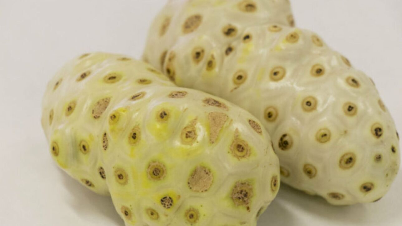 Murta, amapola, espatódea y noni están bajo restricciones en Brasil y pueden generar multa. Entenda lo que dice la legislación actual.