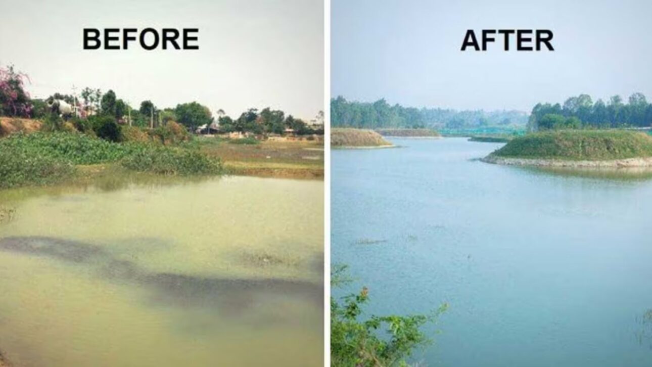 Comunidad En La India Recupera 12 Lagos Sin Fondos Públicos, Reactiva Reservorio Seco Desde Hace 18 Años Y Garantiza Agua Para Dos Cosechas Agrícolas.