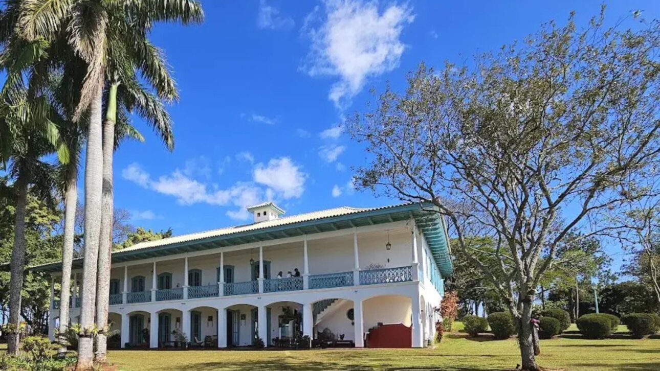 Ana Maria Braga revela detalles de la fazenda de 376 hectáreas en Bofete, con ganado, café orgánico y mansión evaluada en R$ 25 millones.