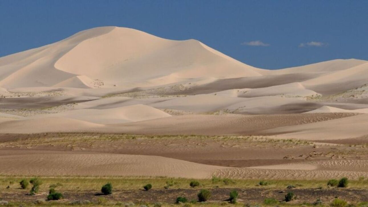 Reforestación en China contra el desierto de Gobi alteró el ciclo hidrológico y aumentó la presión sobre acuíferos en el este y noroeste del país.