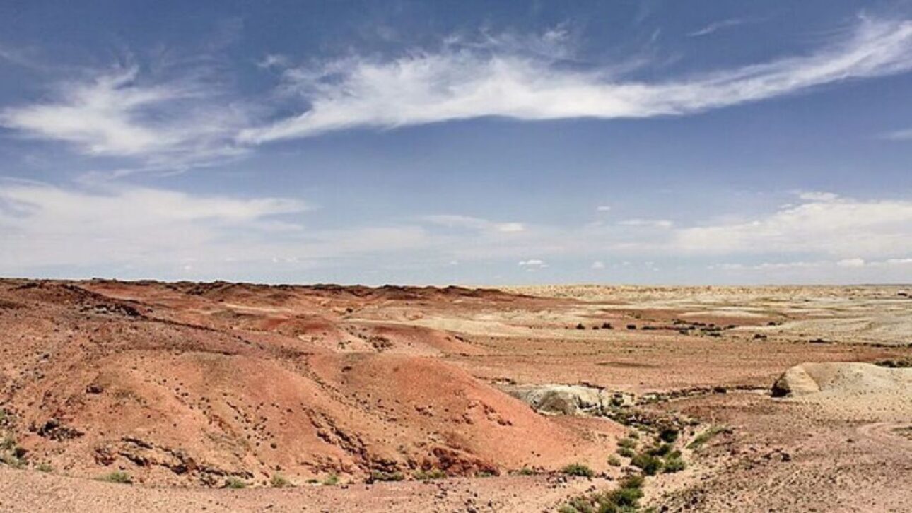 Reforestación en China contra el desierto de Gobi alteró el ciclo hidrológico y aumentó la presión sobre acuíferos en el este y noroeste del país.