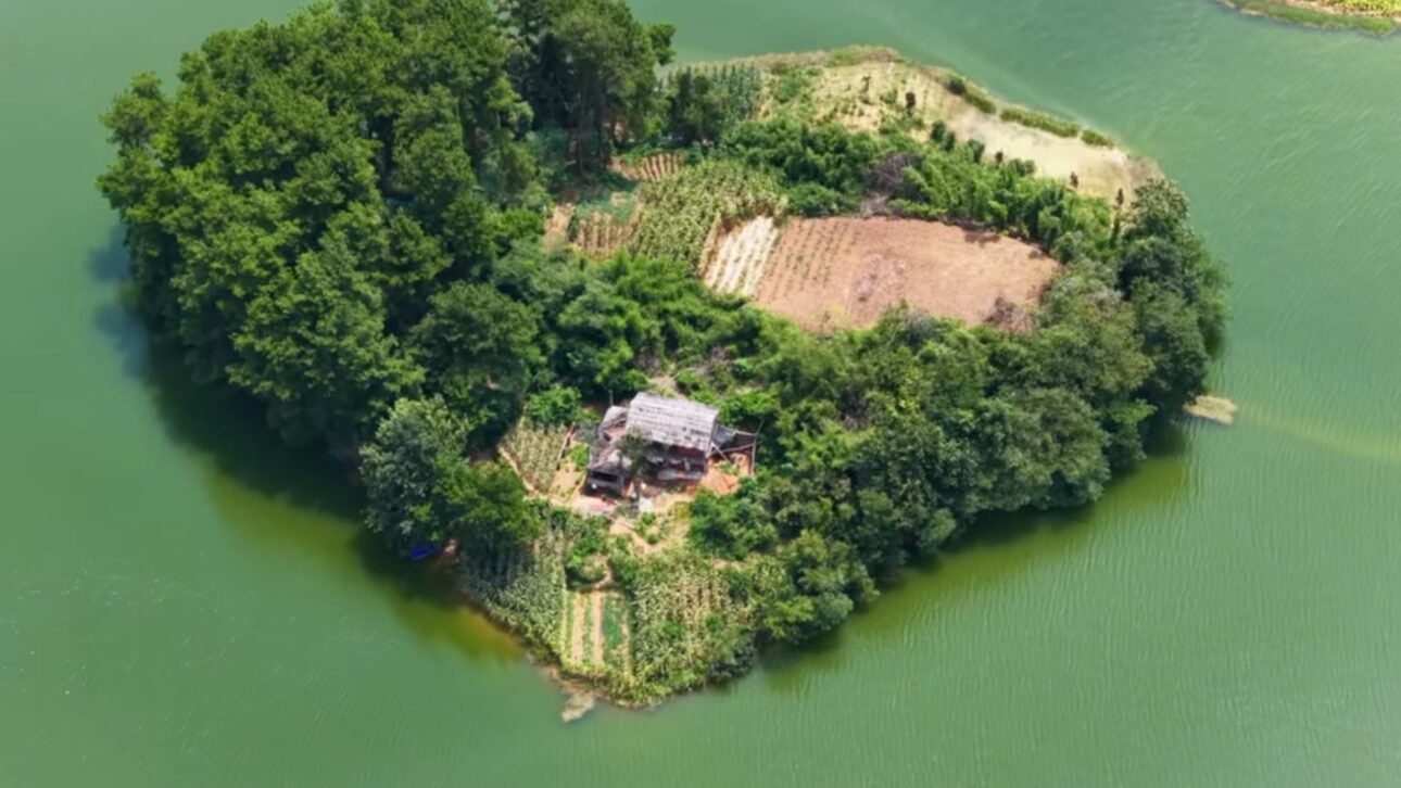 Hombre de 62 años vive solo en isla en China, cultiva hierbas raras, cría animales y rema kilómetros sin motor en reservorio aislado.