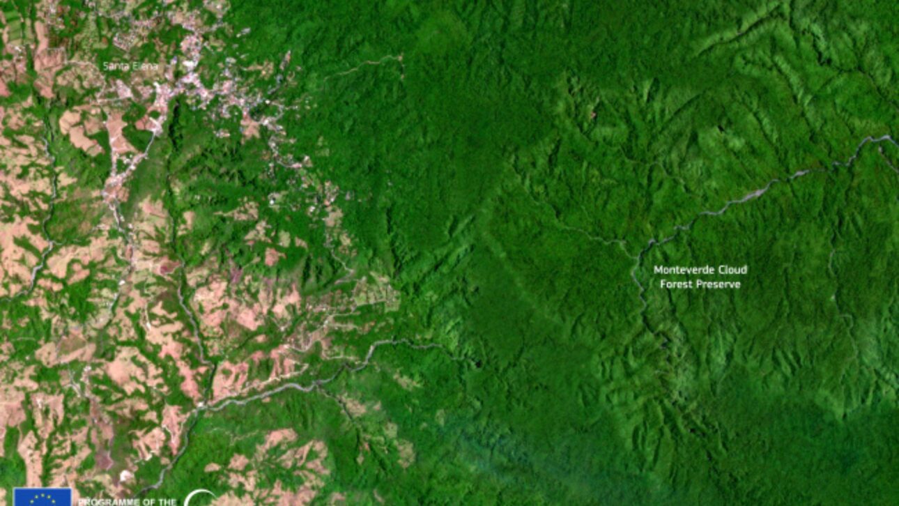 Costa Rica Revierte Deforestación Y Eleva Cobertura Forestal De 21% A 57% Con Pago Por Servicios Ambientales Y Apoyo Del Banco Mundial.