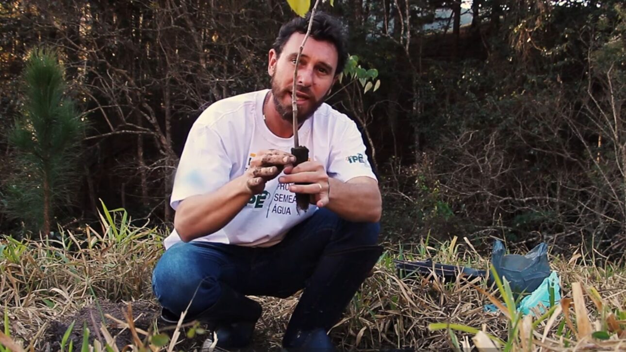 Productor en Piracaia transforma pasto degradado en agroforestería con café y árboles nativos y mejora infiltración en el entorno del Cantareira.