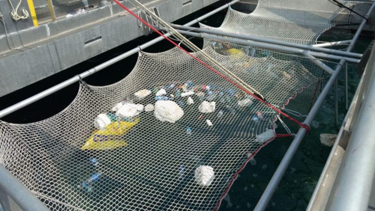 Barco-vaca marina alemán recoge hasta 2 toneladas de plástico por viaje y propone servicio continuo de limpieza de ríos y mares.