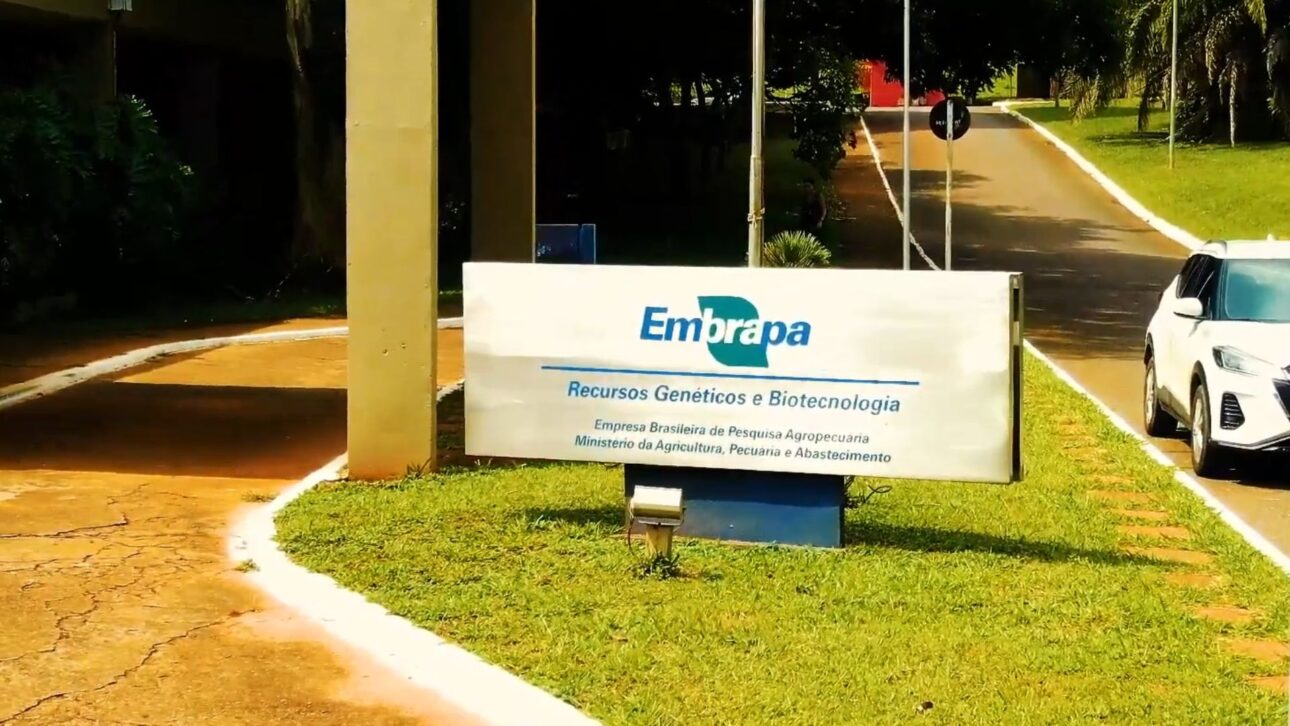 Brasil alberga uno de los mayores bancos genéticos del mundo, con 750 mil semillas y criopreservación a -180°C para proteger la agricultura.