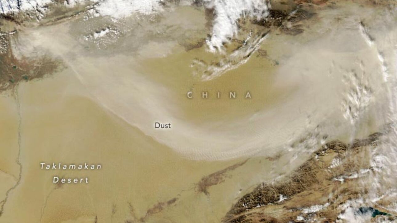 Costras bacterianas formadas em laboratório e campo próximo ao deserto, estabilizando areia com cianobactérias e reduzindo erosão. (Imagen: fotos de costras bacterianas en prueba de campo y suelo tratado).
