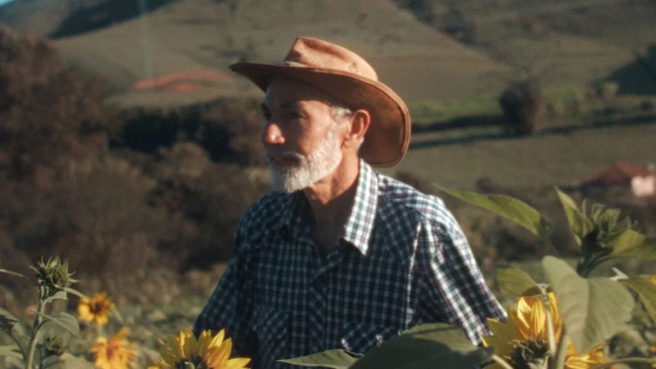 Agroforestería en el Sistema Cantareira recupera suelo degradado con café y especies nativas en un área afectada por la crisis hídrica en SP. (Imagen/ reproducción Instagram)