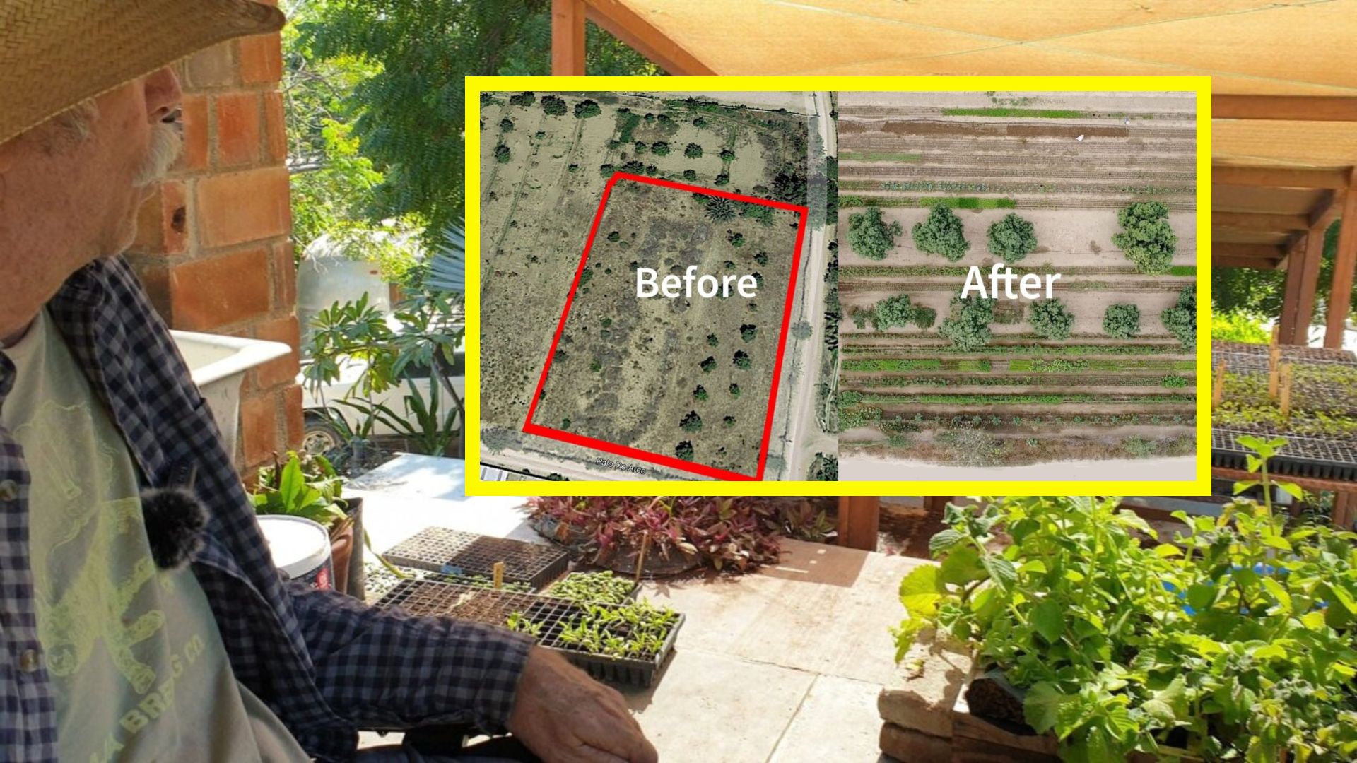 Fazenda no deserto de Baja California produz 60 culturas orgânicas com 4 a 6 polegadas de chuva por ano usando camas profundas e biochar.