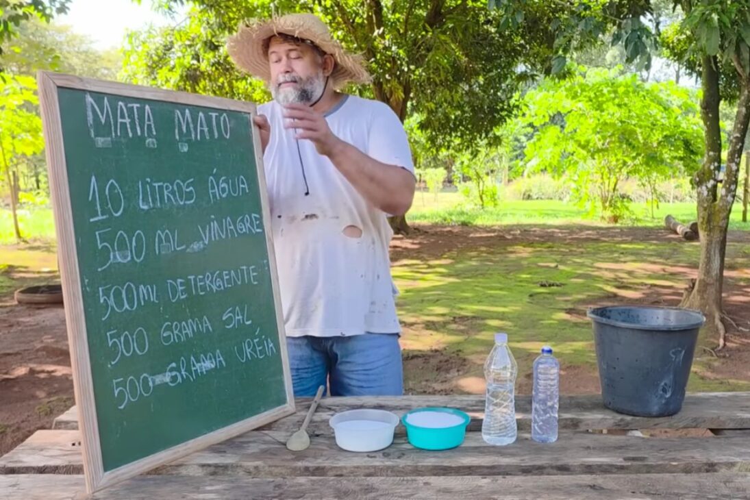 Mata-mato casero con vinagre blanco y detergente neutro, enfocando el pie de gallina e incluyendo urea agrícola, promete efecto rápido, pero plantea dudas sobre eficacia, seguridad e impacto en el suelo en uso doméstico.