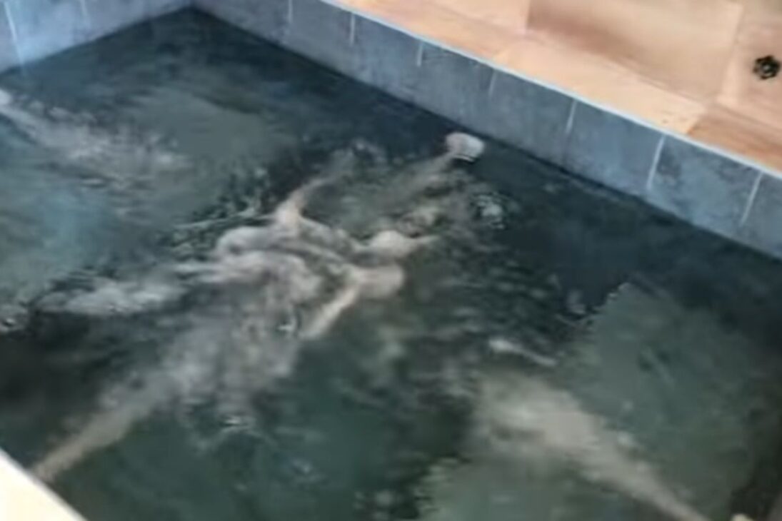 Ve cómo crear un spa en casa con bañera de hidromasaje de albañilería, bañera de hidromasaje, revestimiento en piedra y agua caliente gastando poco.