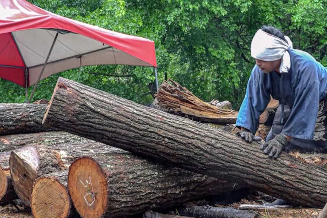 El carbón en Aichi revela cómo el horno, la madera, la temperatura y la carbonización controlada durante 7 días definen la calidad, rendimiento y humo, con enfriamiento de 4 a 5 días y clasificación en 11 grados para un uso culinario más estable.