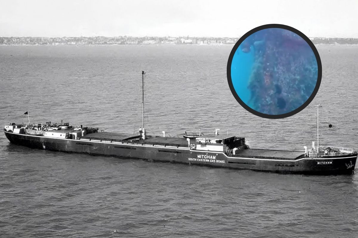 Navio naufragado da 2ª Guerra é identificado no litoral de SP mergulhadores encontram o cargueiro Tutoya, torpedeado por submarino alemão, partido ao meio