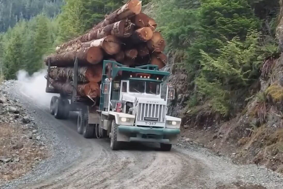 En los árboles más grandes del norte, Canadá combina tala milimétrica, transporte pesado con Pacific P16 y una fábrica casi automática para transformar troncos en vigas LVL largas y certificadas, exponiendo ganancias de eficiencia y el costo real de la escala.