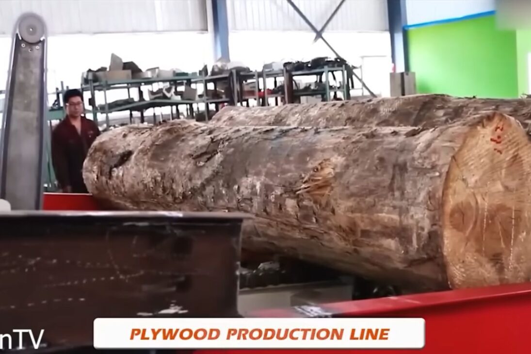 En los árboles más grandes del norte, Canadá combina tala milimétrica, transporte pesado con Pacific P16 y una fábrica casi automática para transformar troncos en vigas LVL largas y certificadas, exponiendo ganancias de eficiencia y el costo real de la escala.