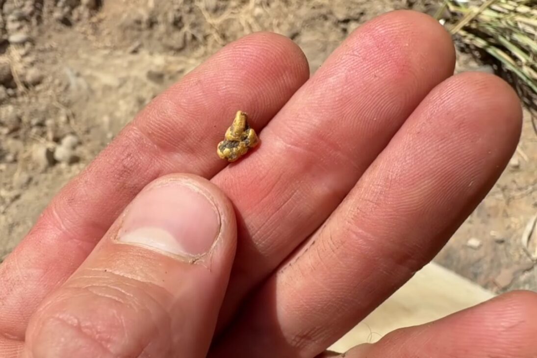 el oro perdido se convierte en una misión extrema en Queensland: ruta sin mapa, bicicleta eléctrica, detectores de metales y pistas de excavaciones chinas ponen método y resistencia a prueba en tres días de prospección.